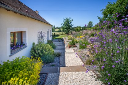 Une allée bordée de buissons dans un jardin